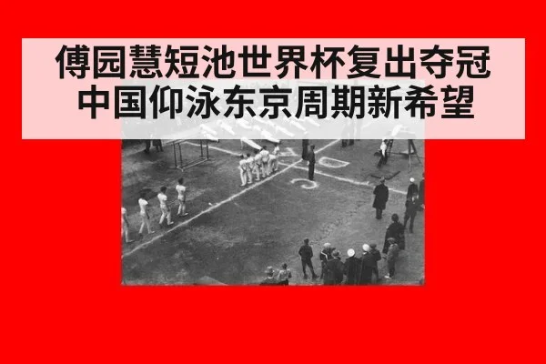 傅园慧短池世界杯复出夺冠 中国仰泳东京周期新希望